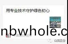 中(zhong)國(guo)建(jian)材報專(zhuan)訪｜用專(zhuan)業(ye)技術(shu)守(shou)護(hu)綠色初(chu)心-訪上海山(shan)美(mei)環(huan)保裝(zhuang)備股(gu)份(fen)有(you)限(xian)公(gong)司(si)董事長楊(yang)安民