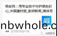 中國(guo)建(jian)材報(bao)專(zhuan)訪｜用專(zhuan)業技(ji)術(shu)守(shou)護(hu)綠色(se)初心-訪上(shang)海(hai)山美(mei)環(huan)保(bao)裝(zhuang)備股份有限公(gong)司董事長楊安(an)民(min)
